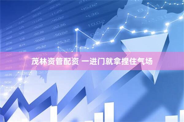 茂林资管配资 一进门就拿捏住气场