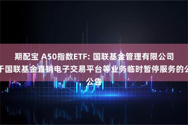 期配宝 A50指数ETF: 国联基金管理有限公司关于国联基金直销电子交易平台等业务临时暂停服务的公告
