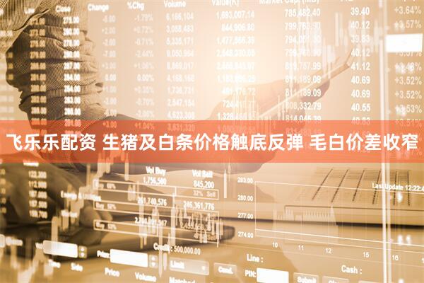 飞乐乐配资 生猪及白条价格触底反弹 毛白价差收窄